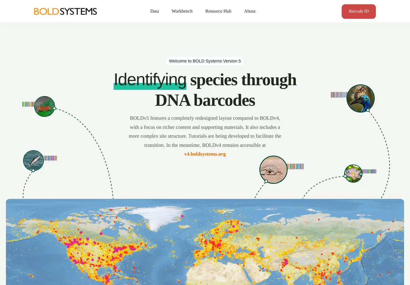 Screenshot of boldsystems.org