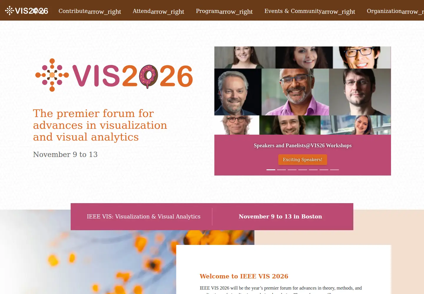 Screenshot of ieeevis.org