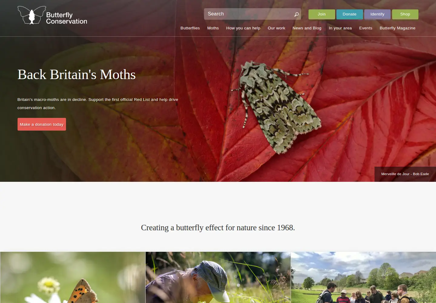 Screenshot of butterfly-conservation.org