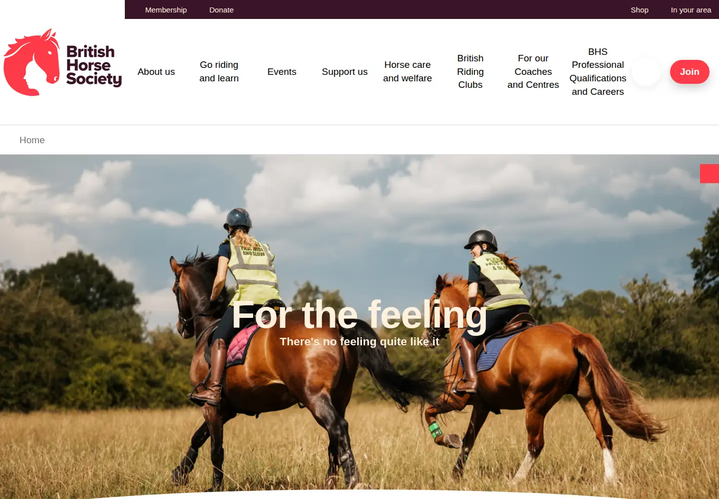 Screenshot of bhs.org.uk