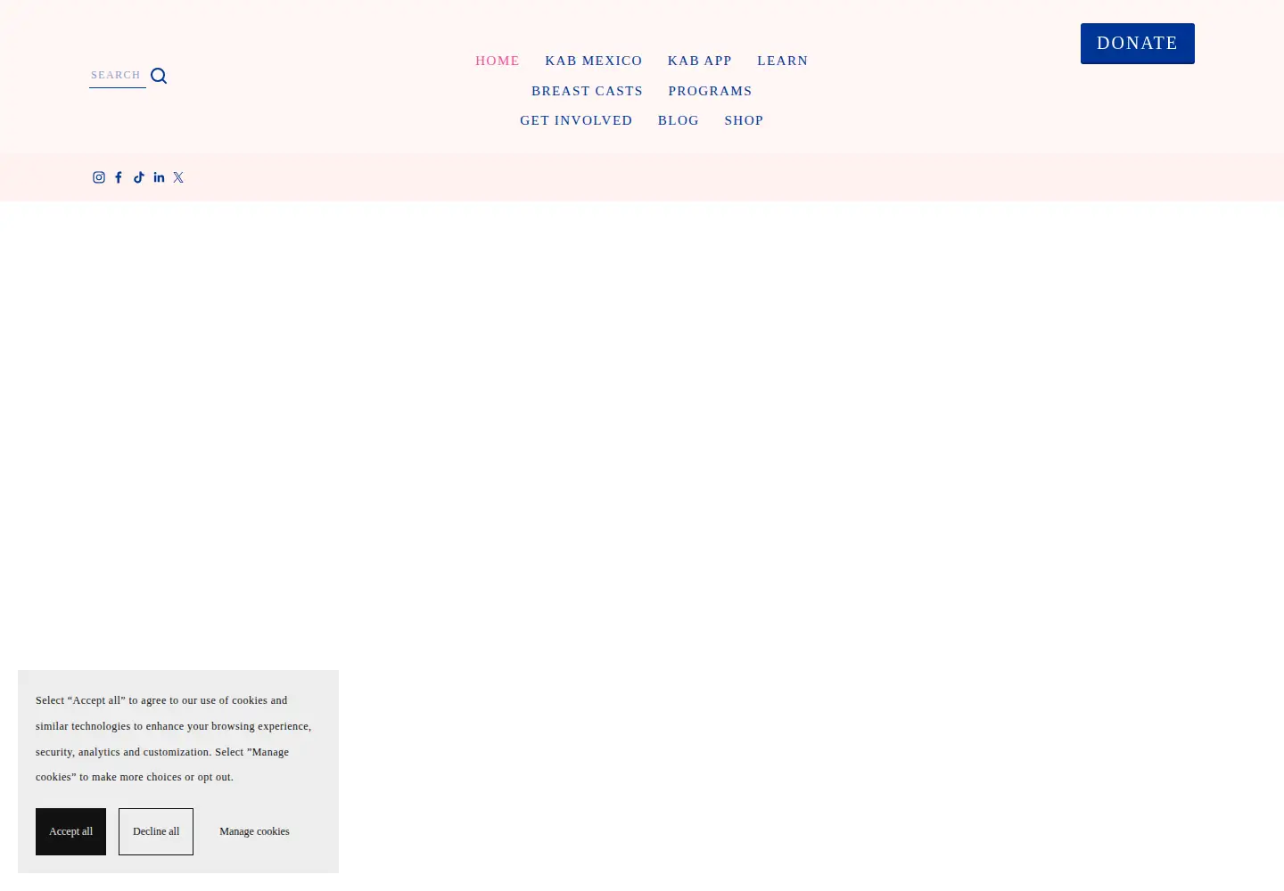 Screenshot of keep-a-breast.org