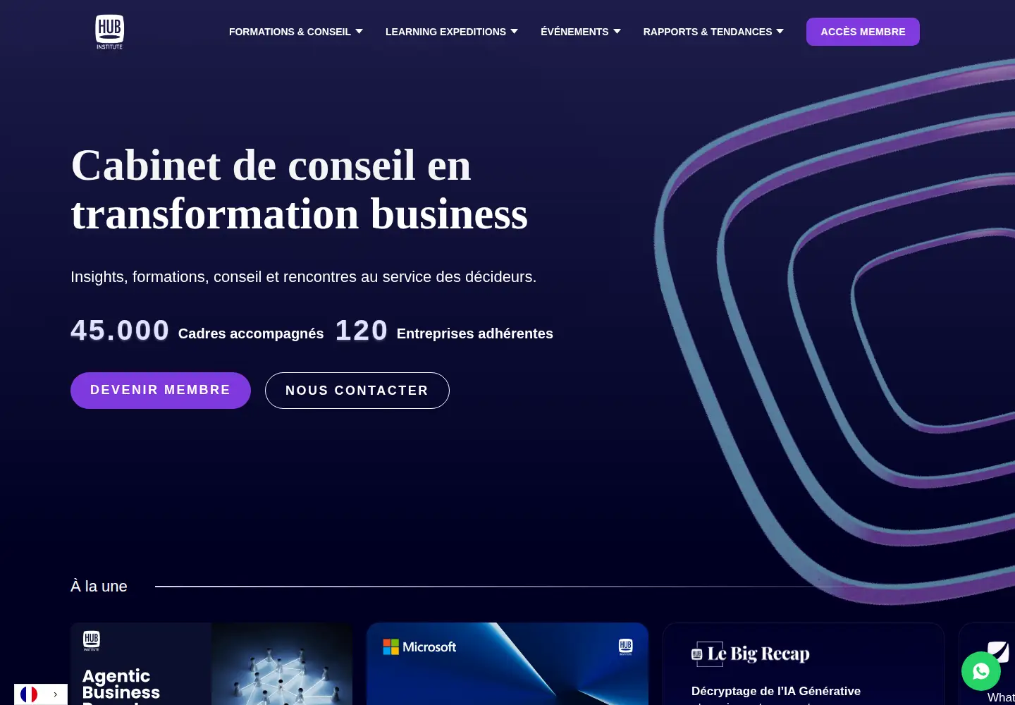 Screenshot of hubinstitute.com