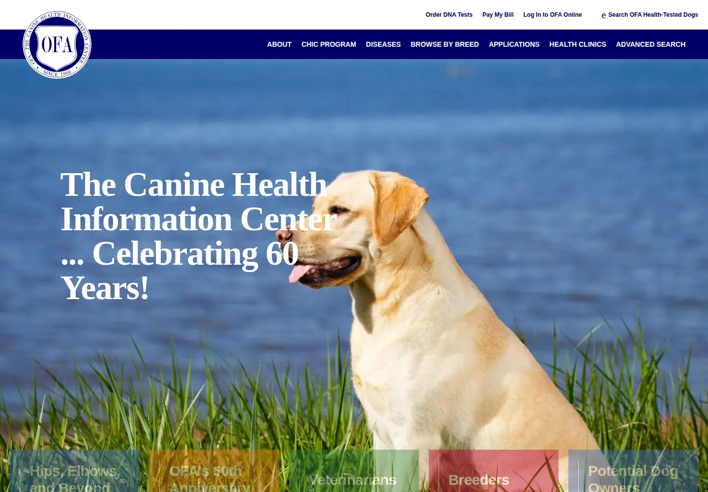 Screenshot of ofa.org