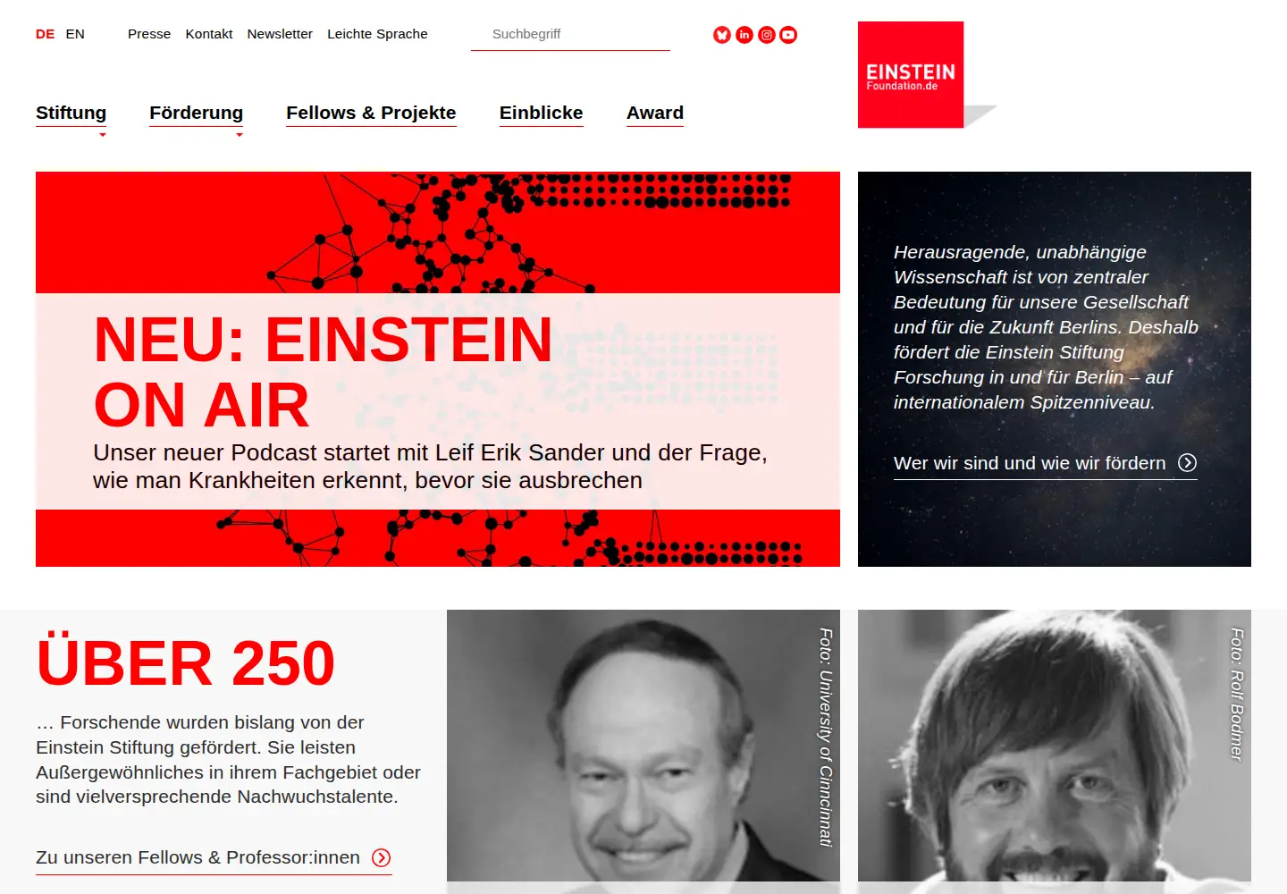Screenshot of einsteinfoundation.de