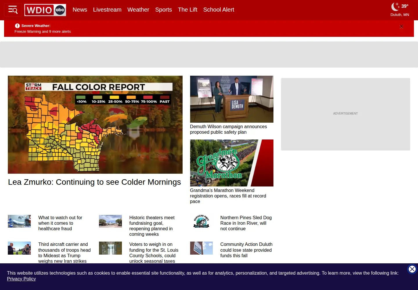 Screenshot of wdio.com