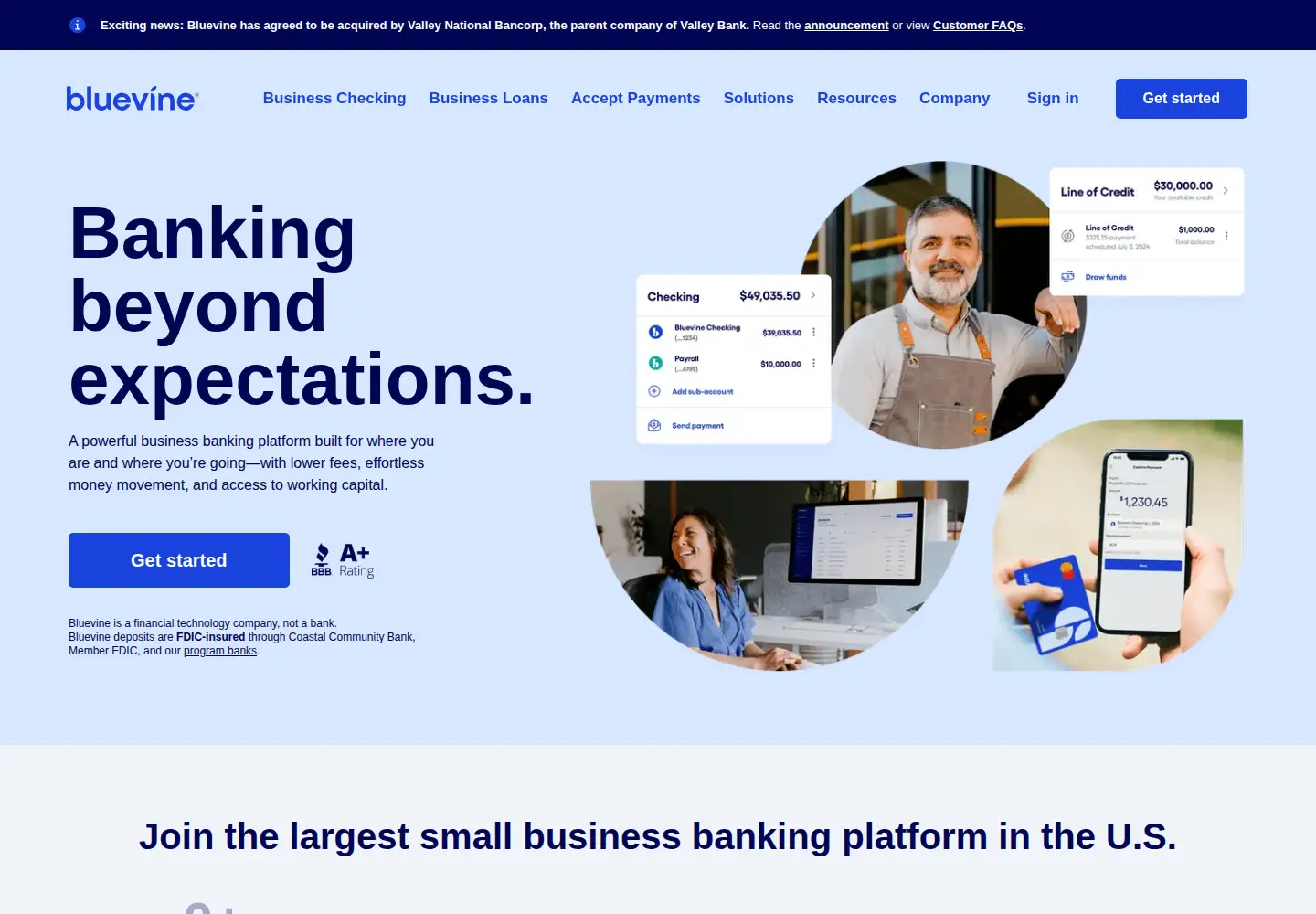 Screenshot of bluevine.com