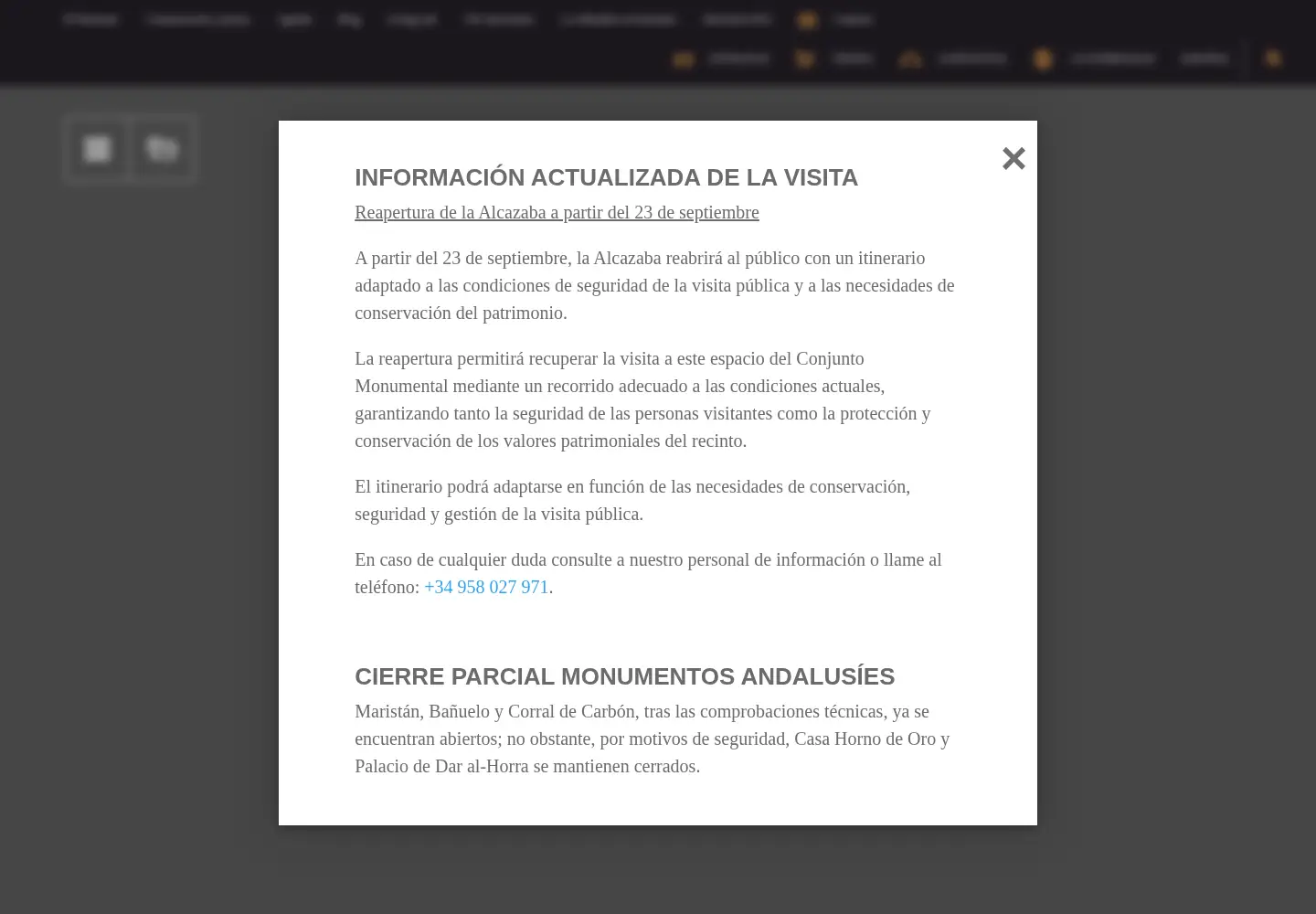 Screenshot of alhambra-patronato.es