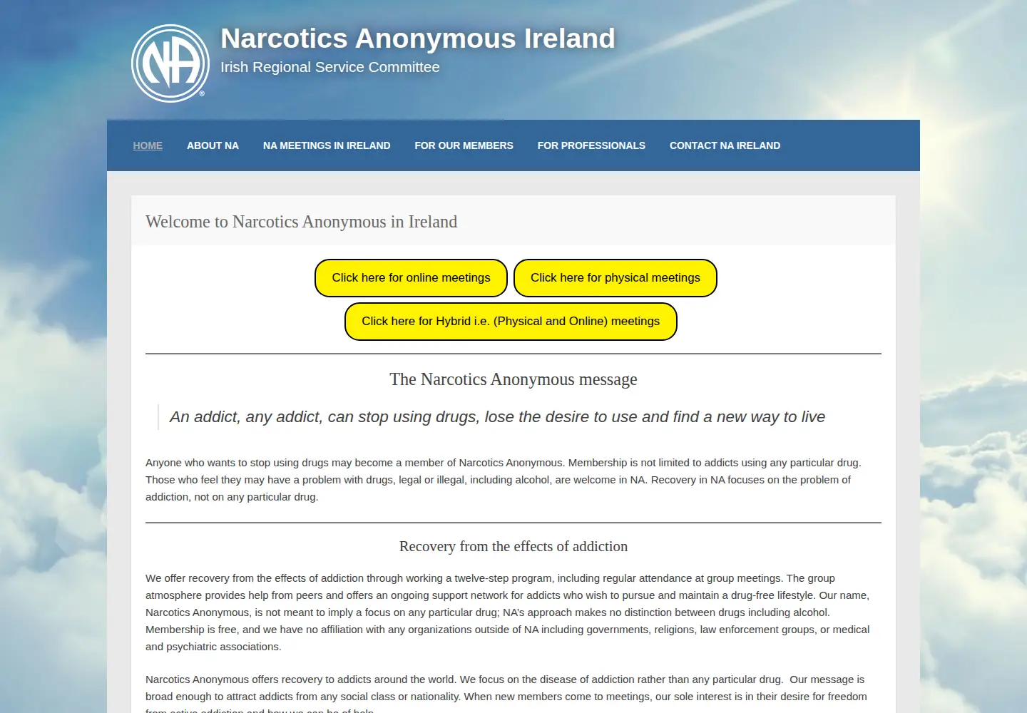 Screenshot of na-ireland.org
