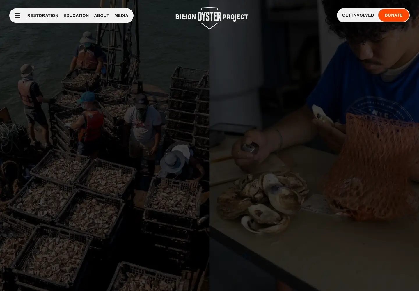 Screenshot of billionoysterproject.org
