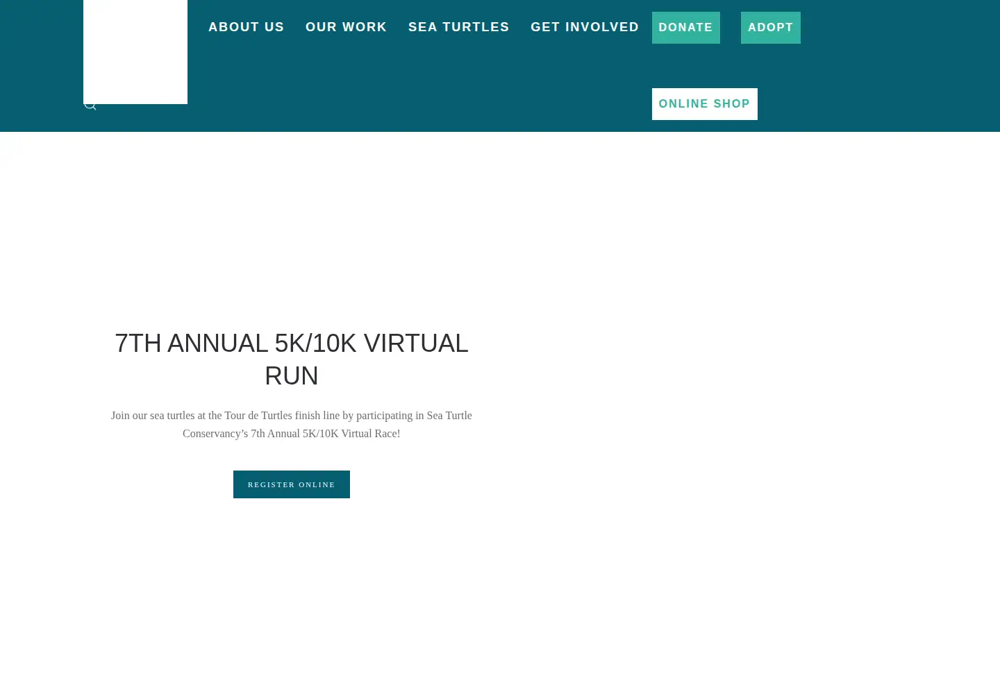 Screenshot of conserveturtles.org