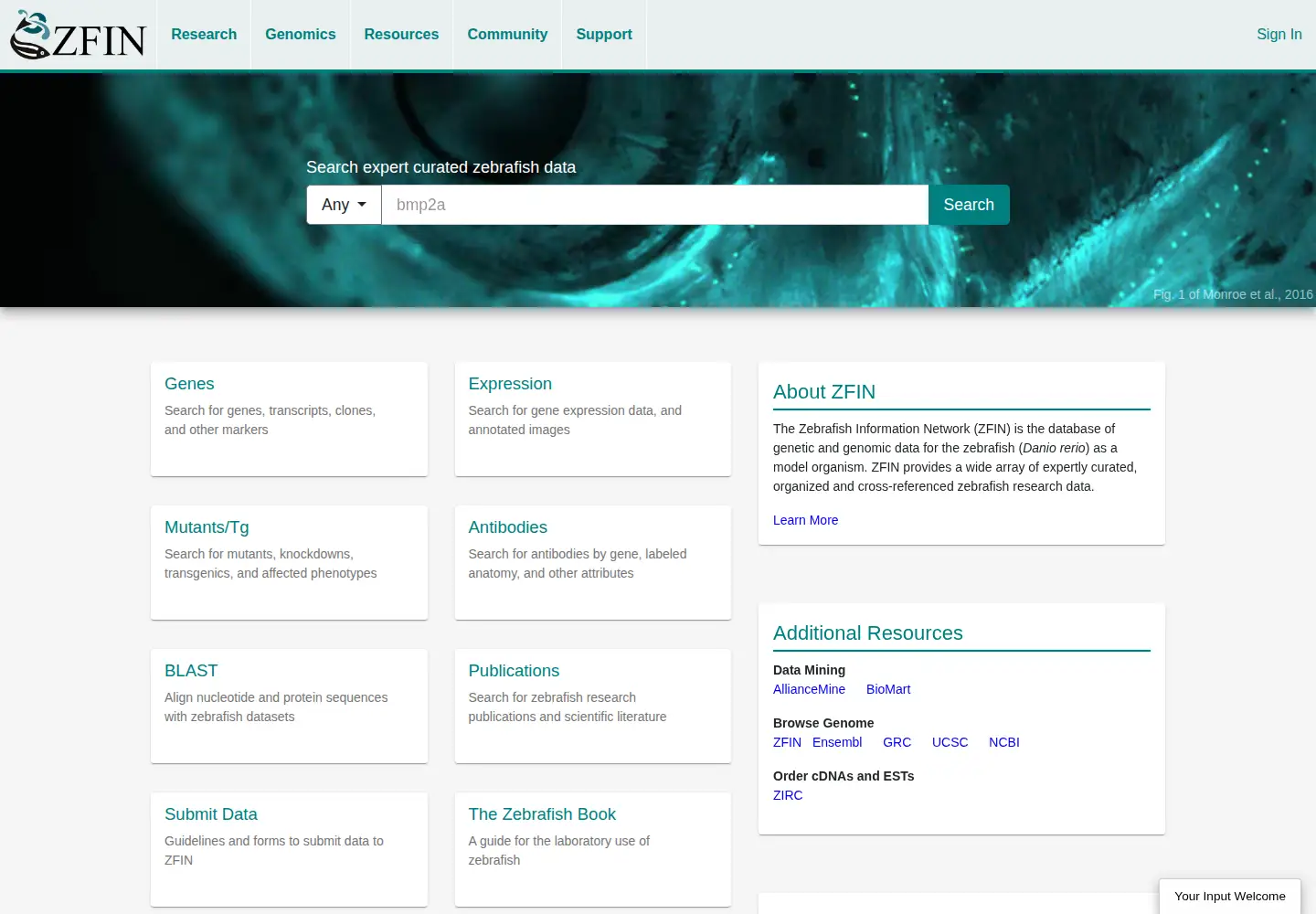 Screenshot of zfin.org