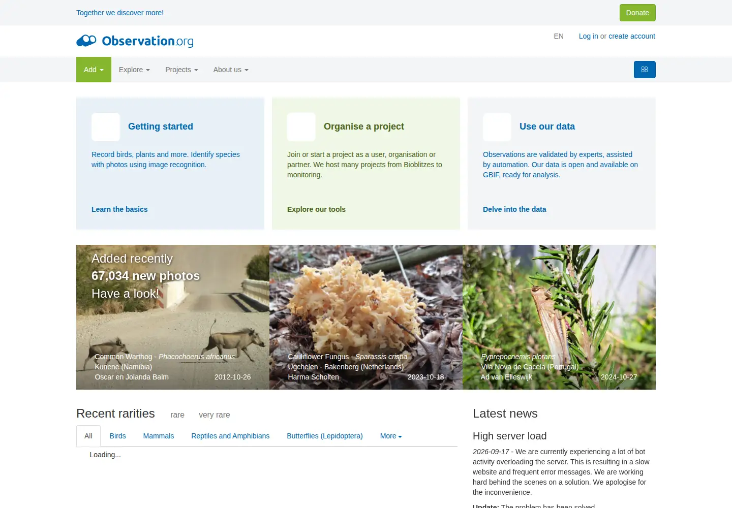 Screenshot of observation.org