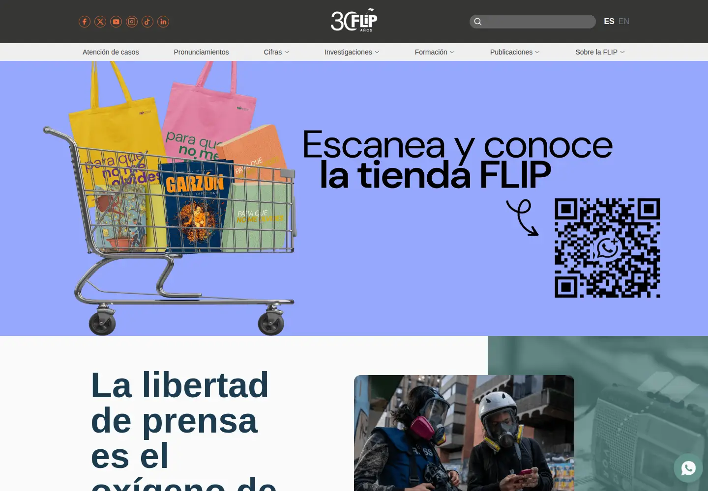 Screenshot of flip.org.co