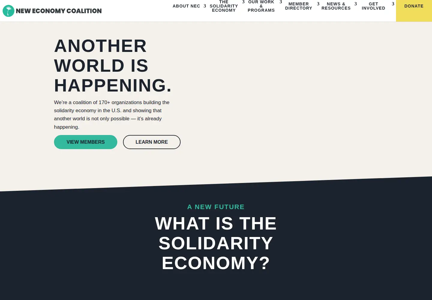 Screenshot of neweconomy.net