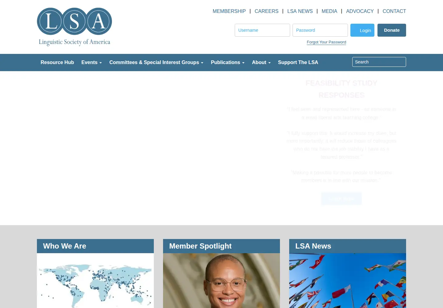 Screenshot of lsadc.org