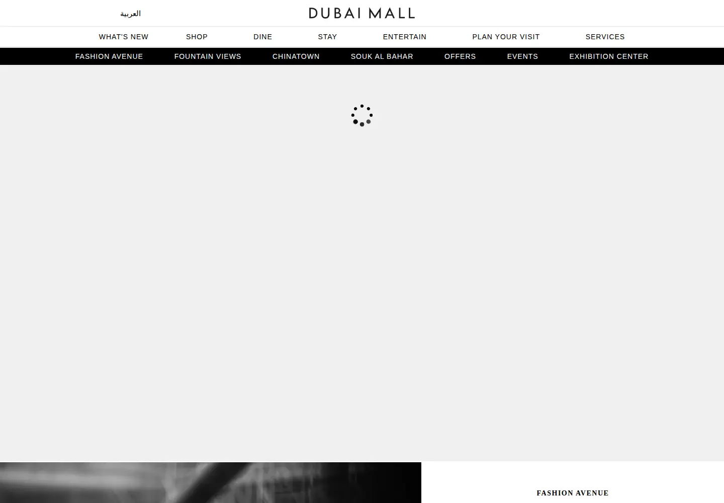 Screenshot of thedubaimall.com
