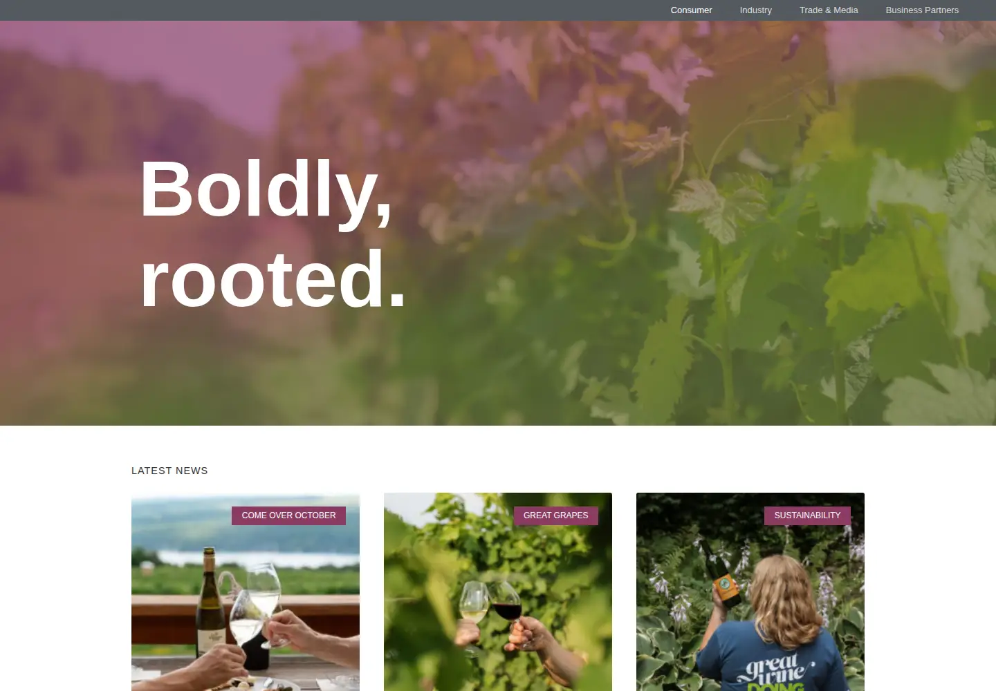 Screenshot of newyorkwines.org