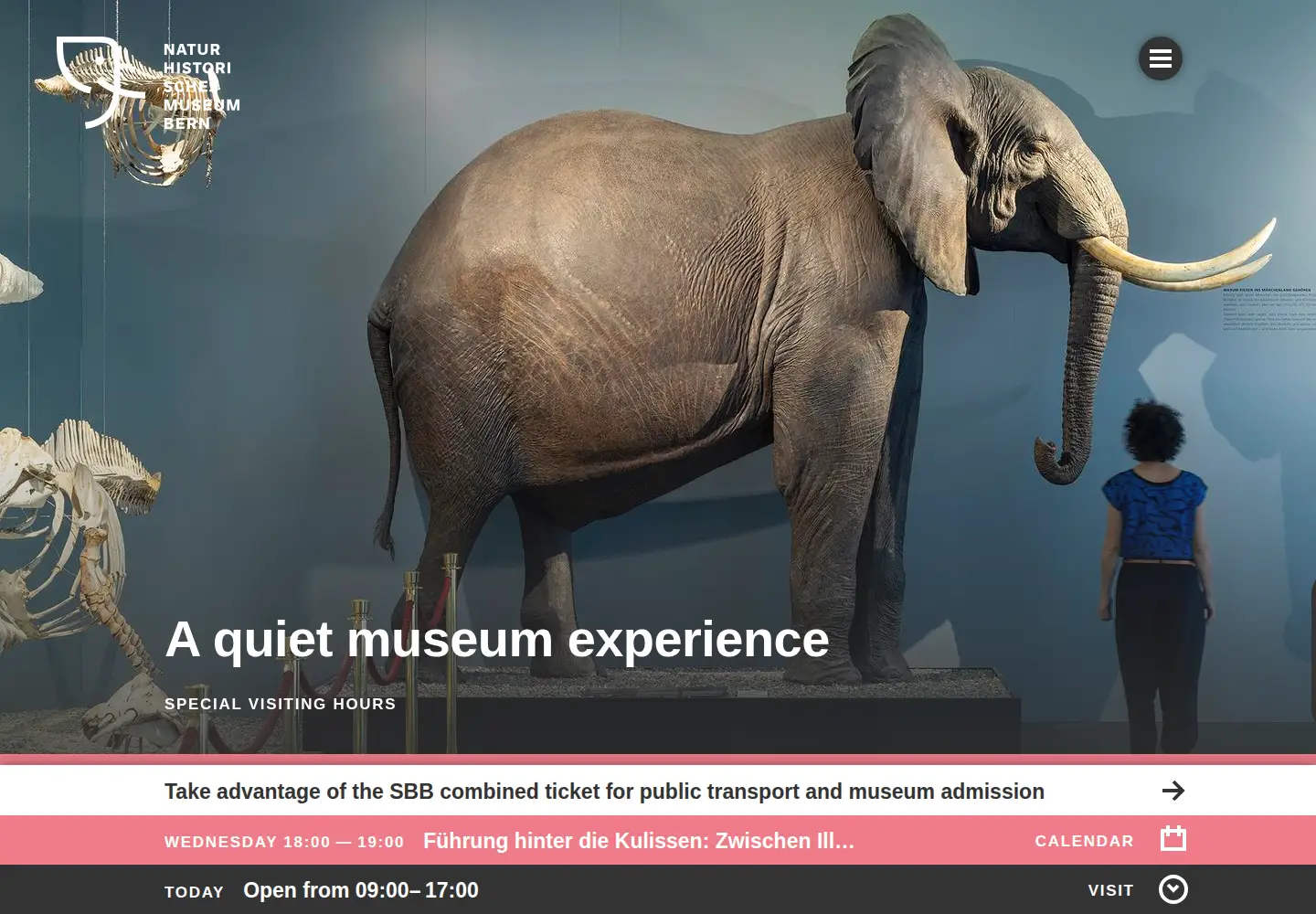 Screenshot of nmbe.ch
