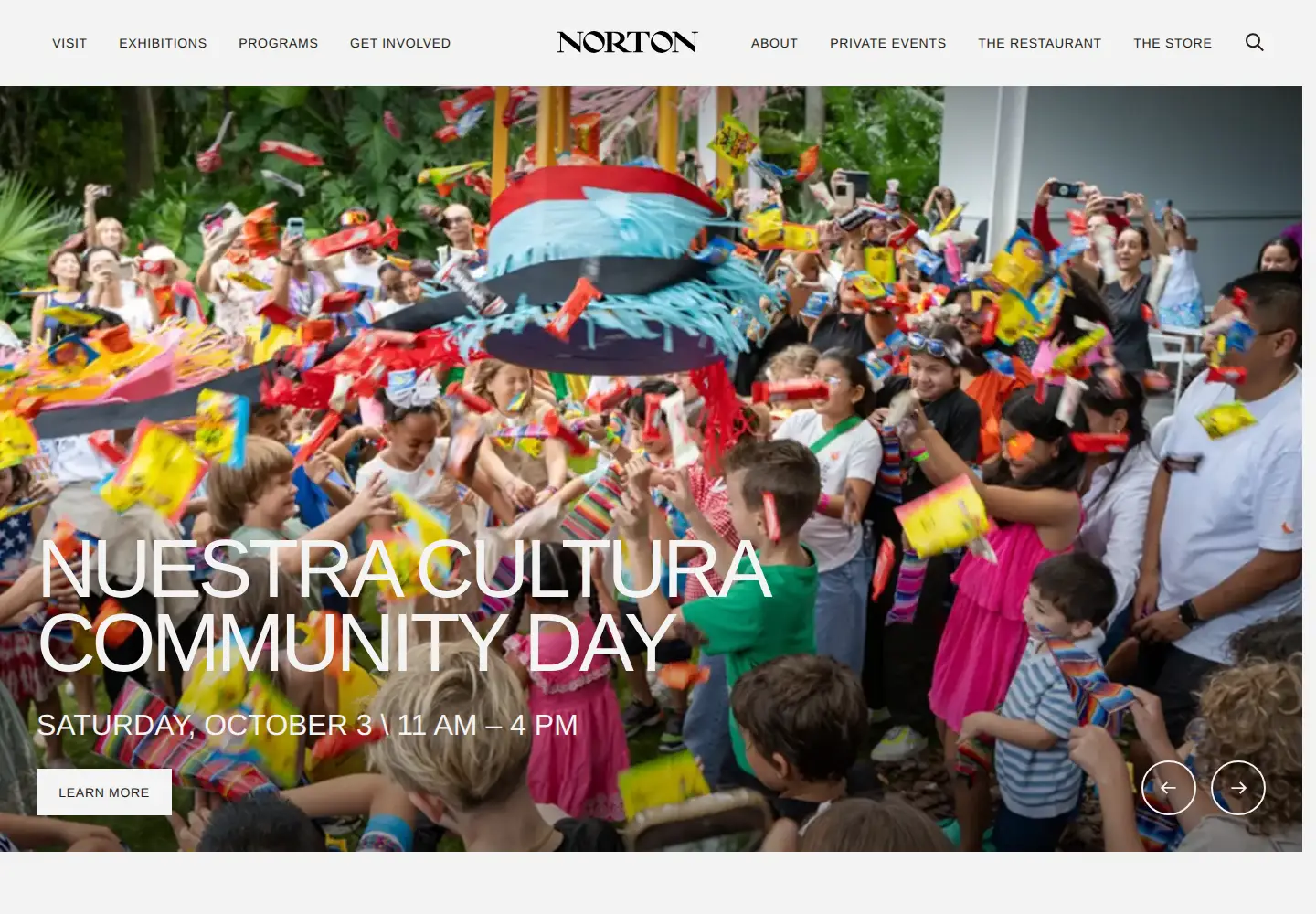 Screenshot of norton.org