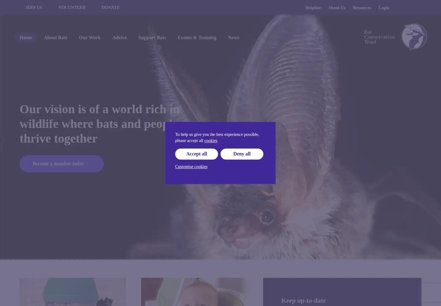 Screenshot of bats.org.uk