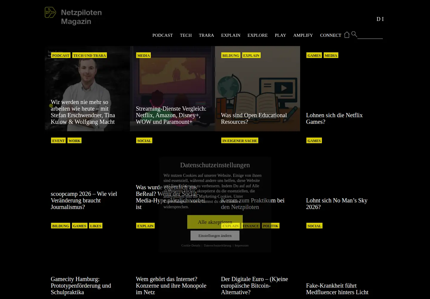 Screenshot of netzpiloten.de