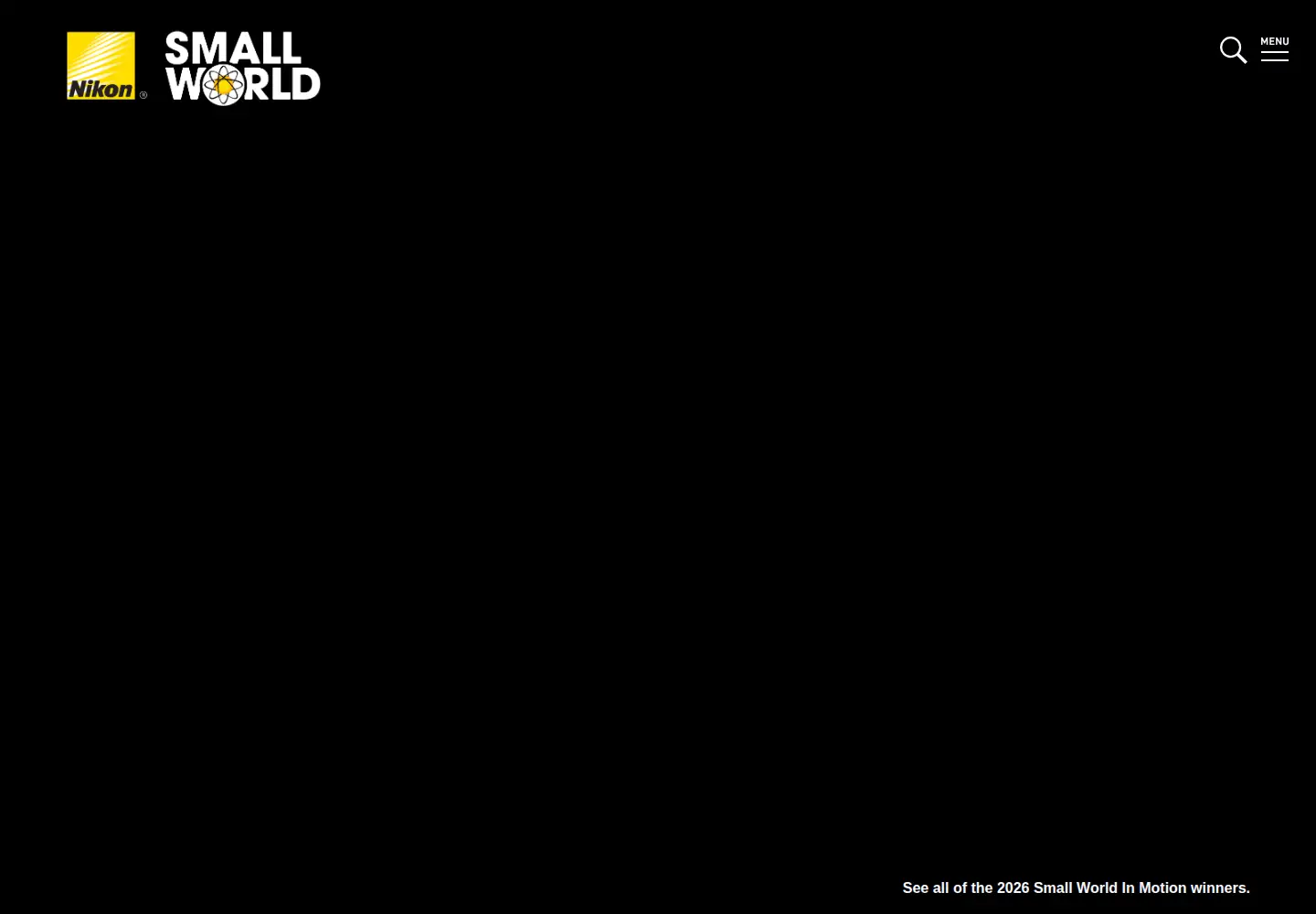 Screenshot of nikonsmallworld.com