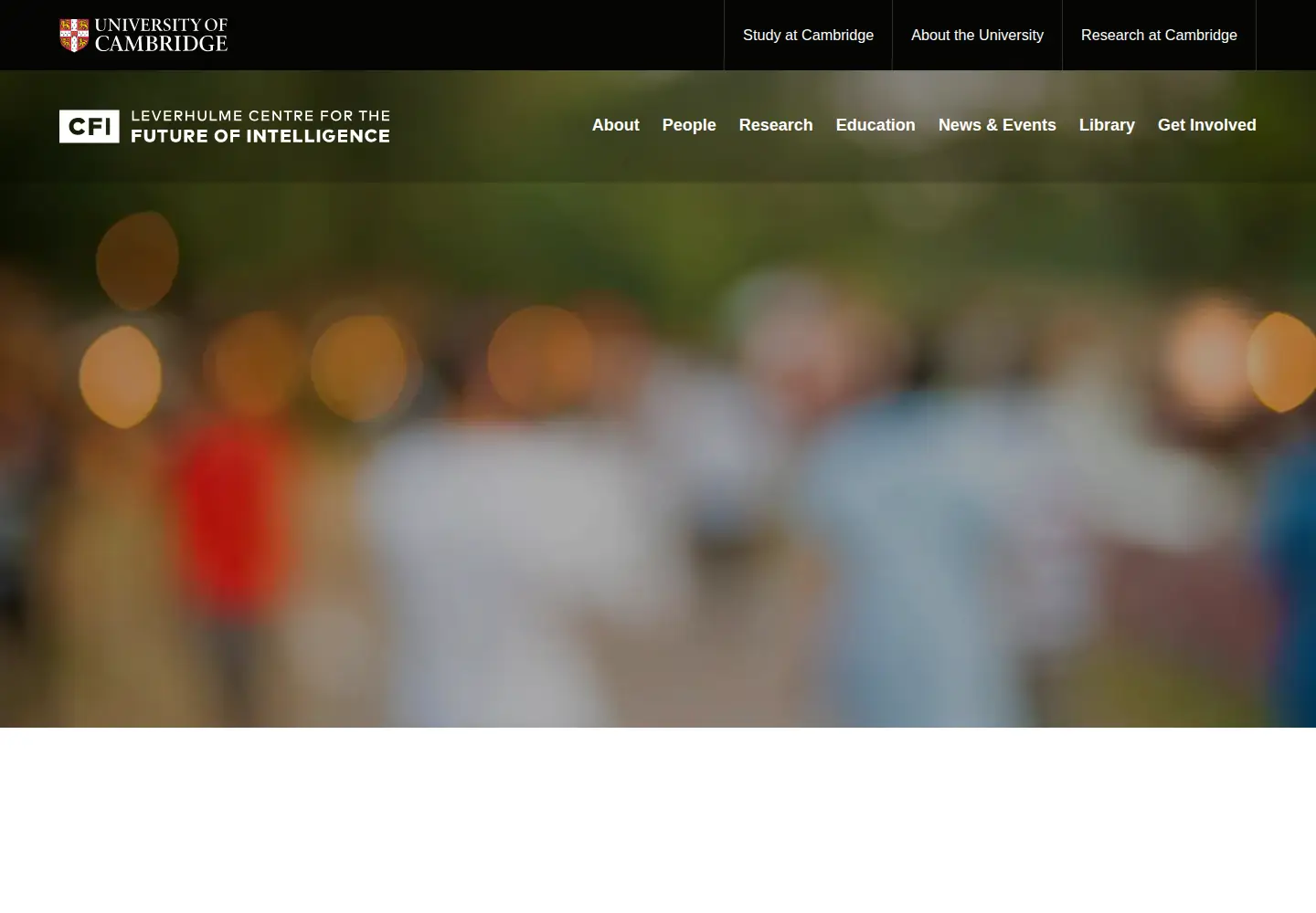 Screenshot of lcfi.ac.uk
