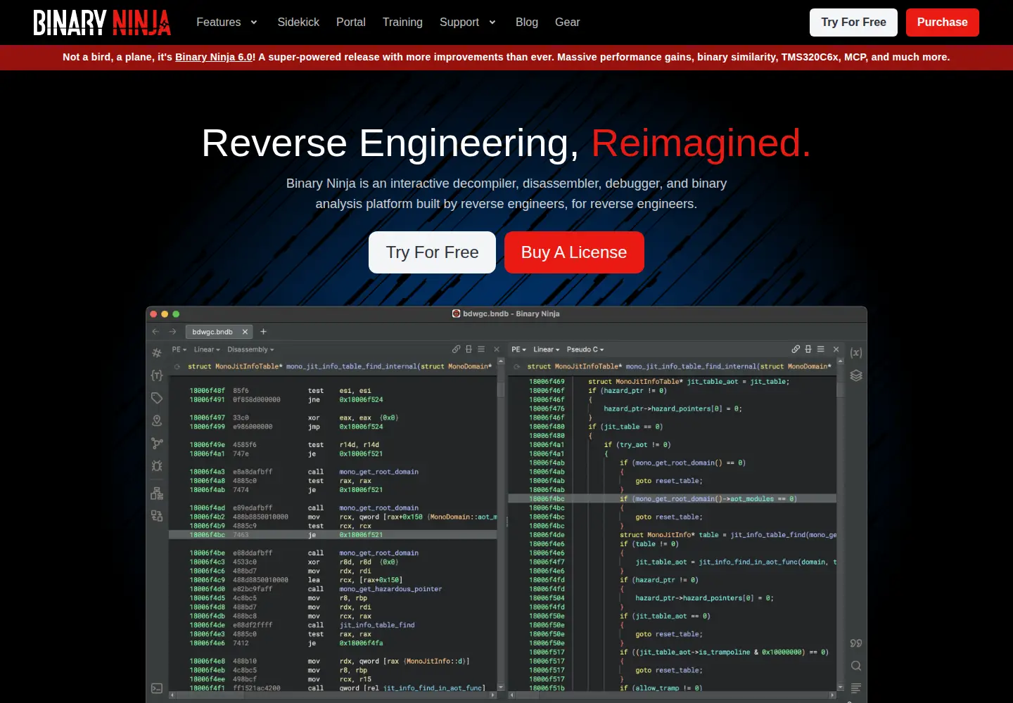 Screenshot of binary.ninja