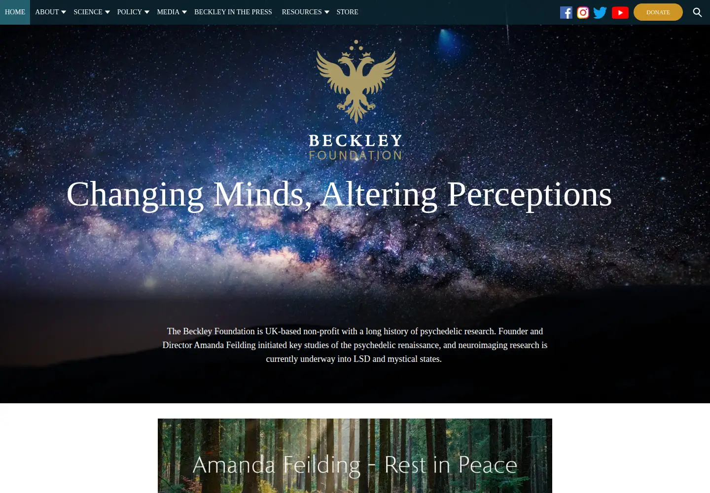 Screenshot of beckleyfoundation.org