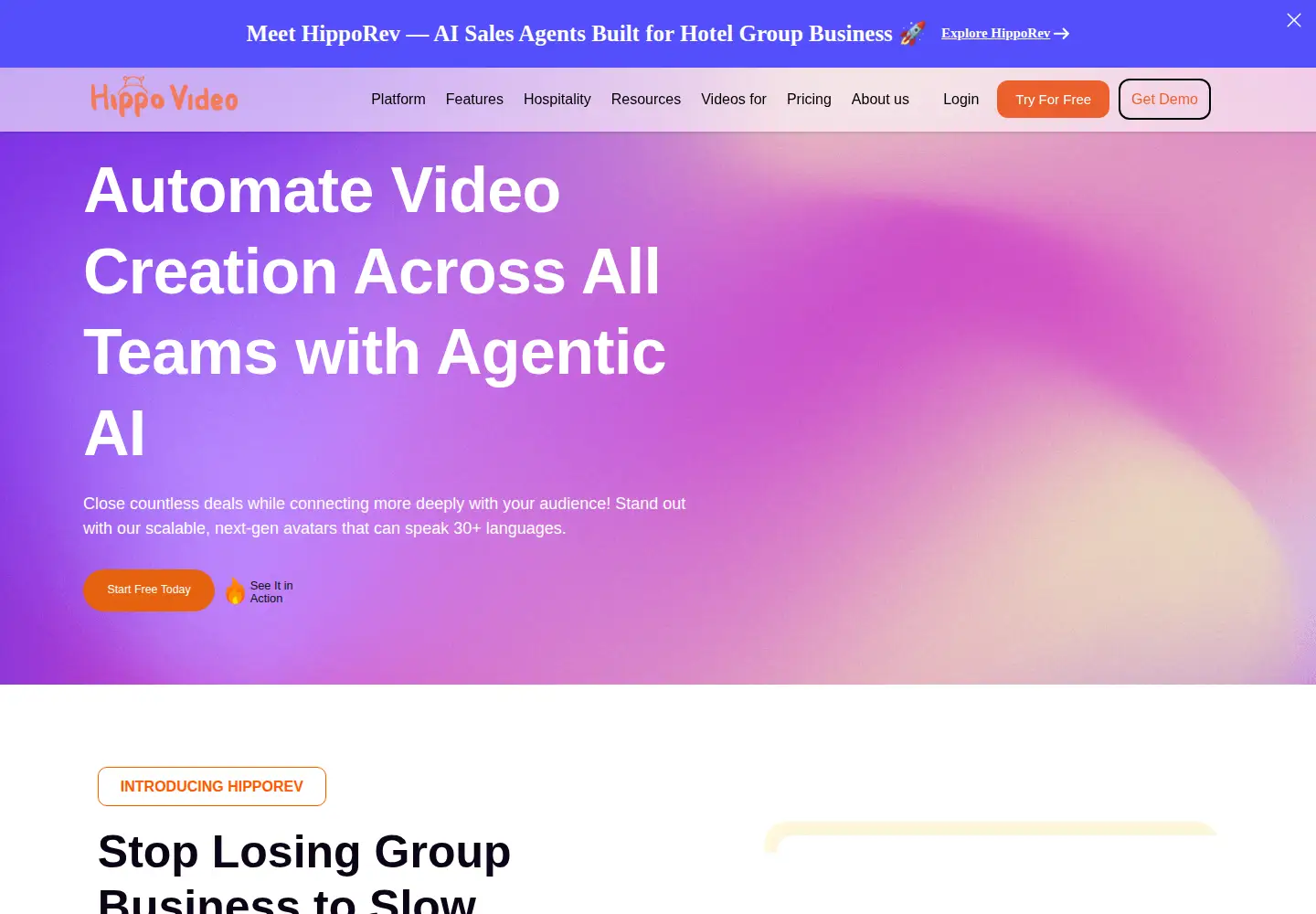 Captured homepage of hippovideo.io in the current scan