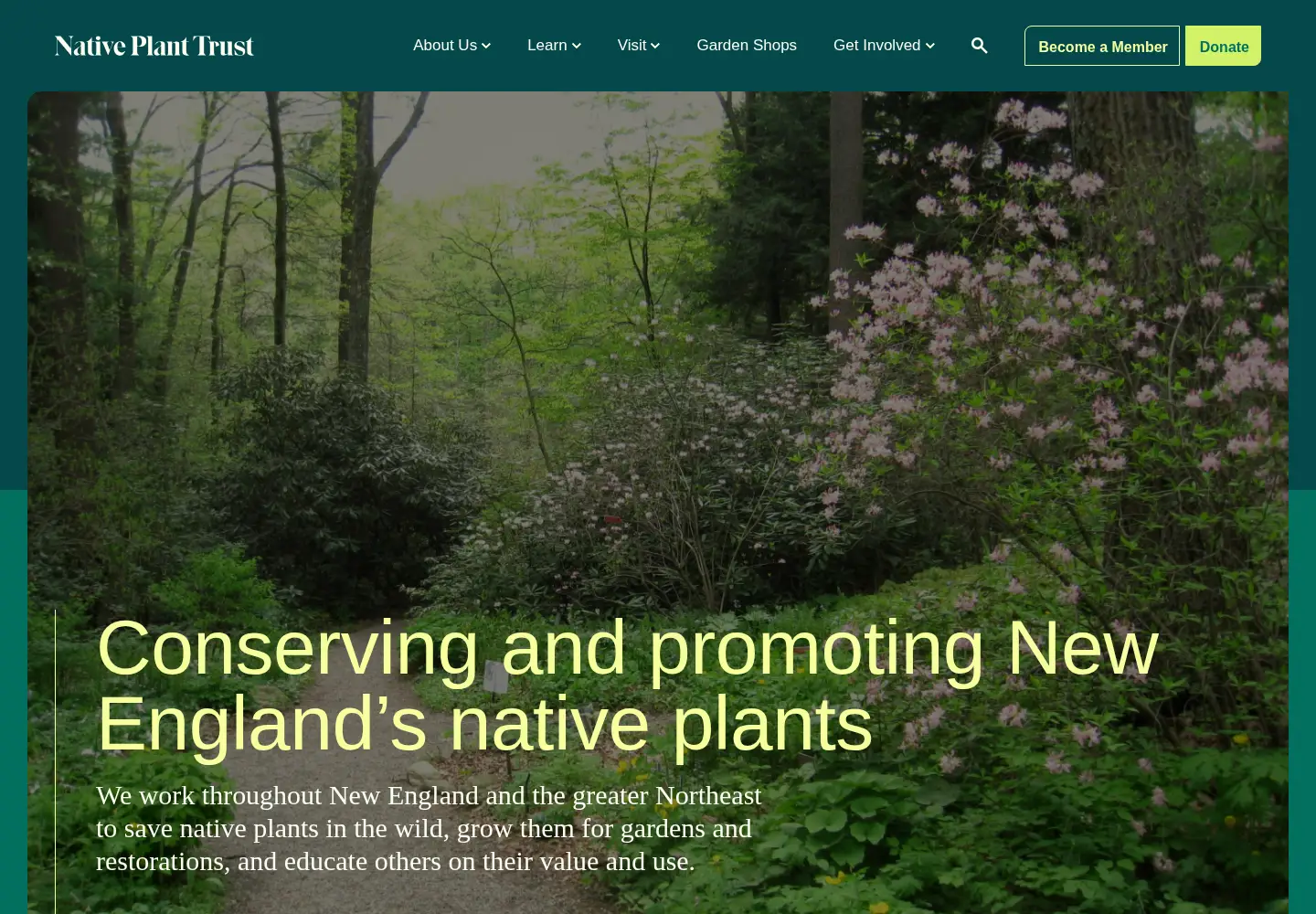 Screenshot of nativeplanttrust.org