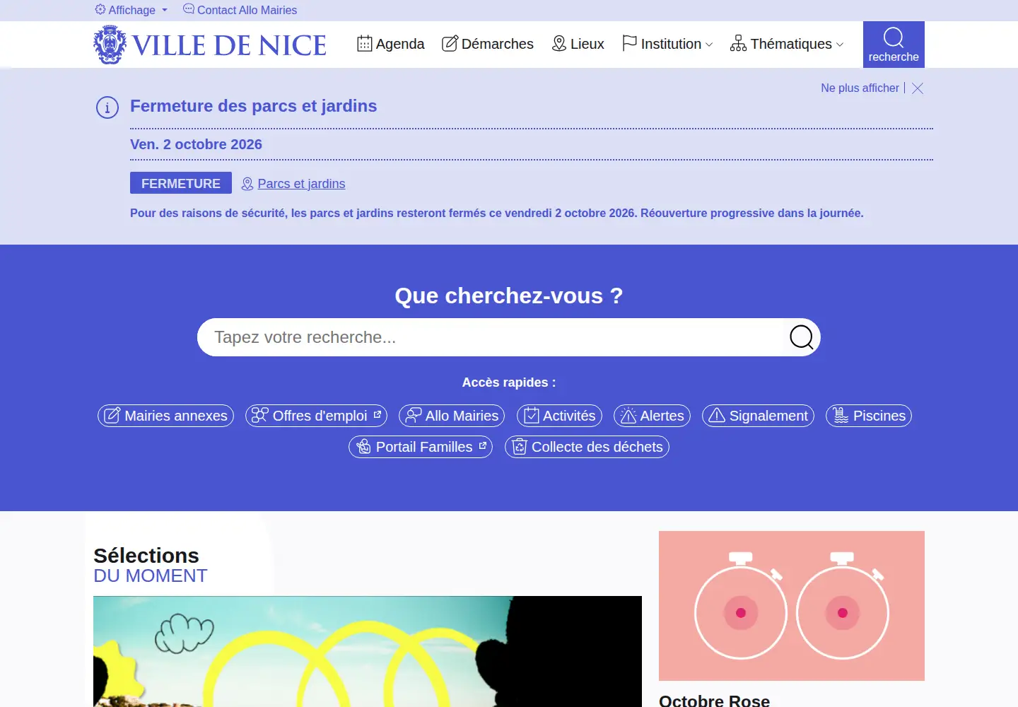 Screenshot of nice.fr
