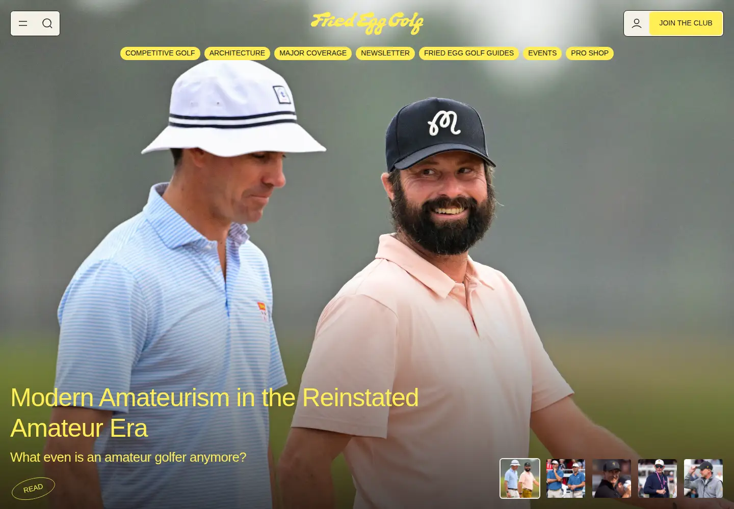 Screenshot of thefriedegg.com