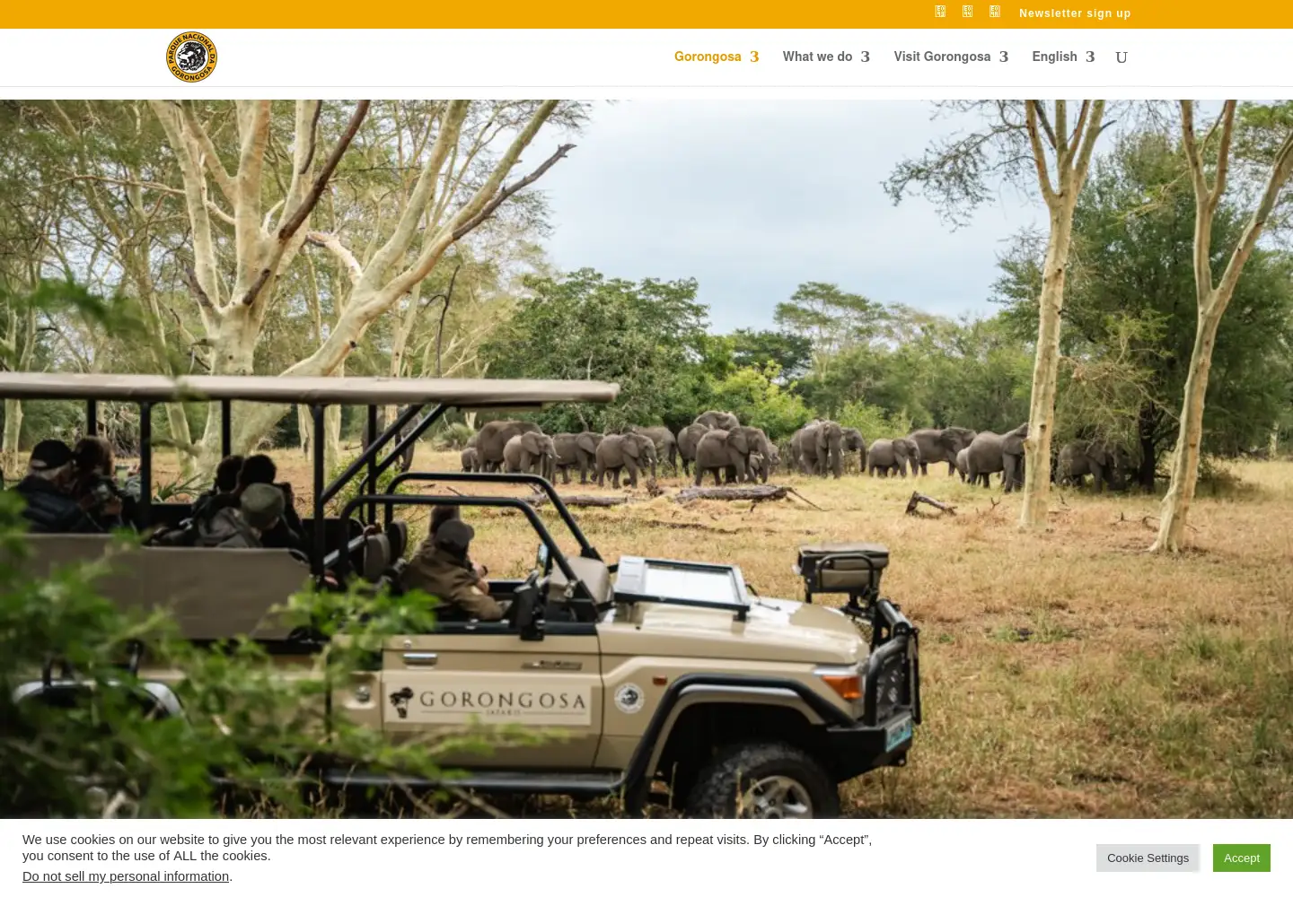 Screenshot of gorongosa.org