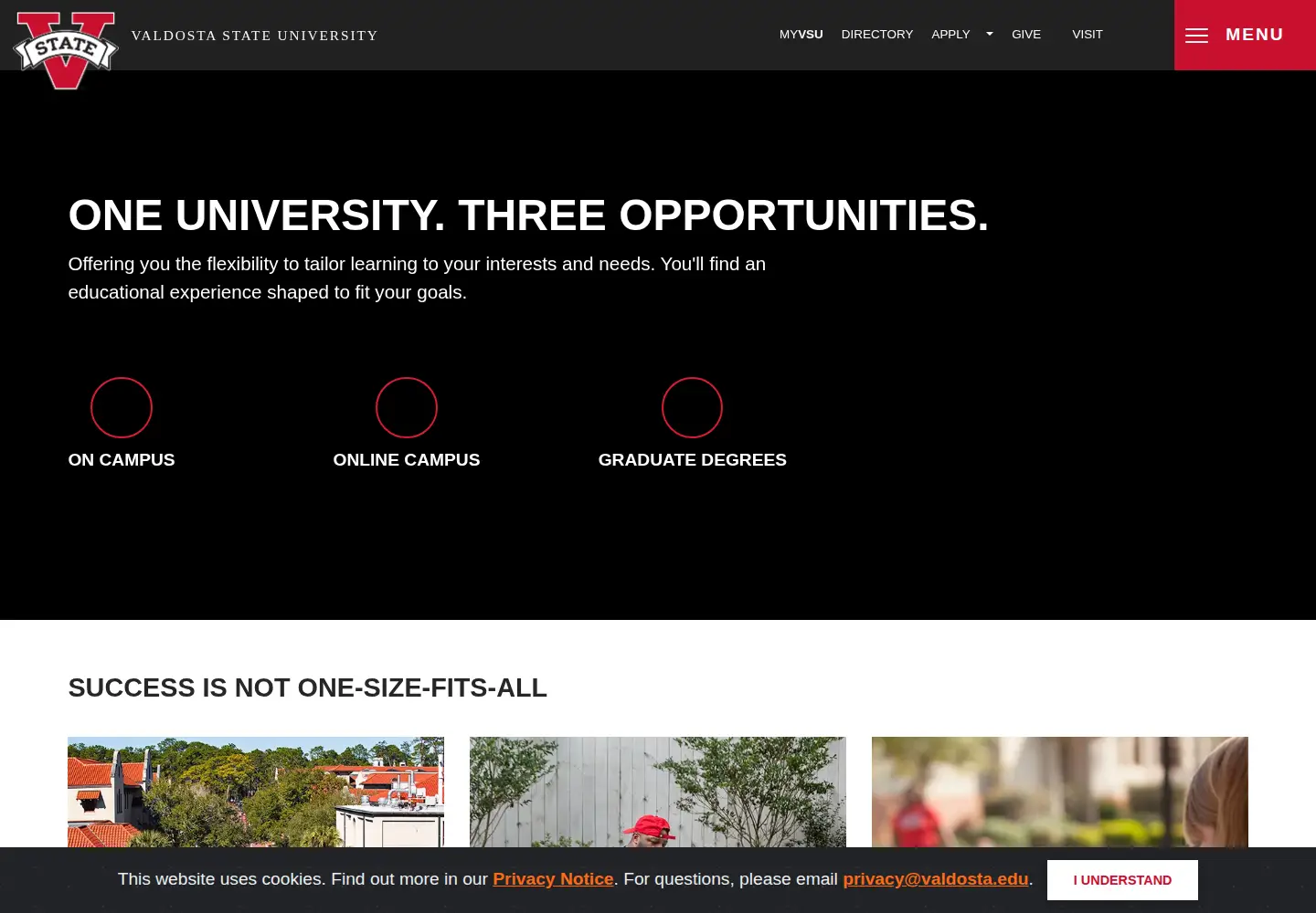 Screenshot of valdosta.edu