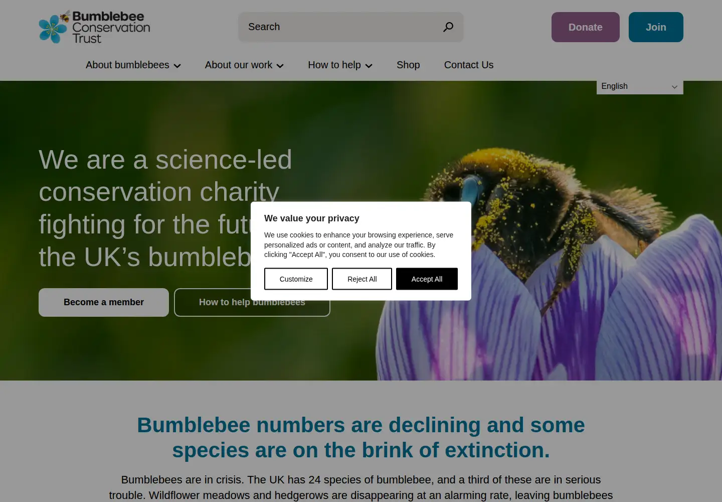 Screenshot of bumblebeeconservation.org