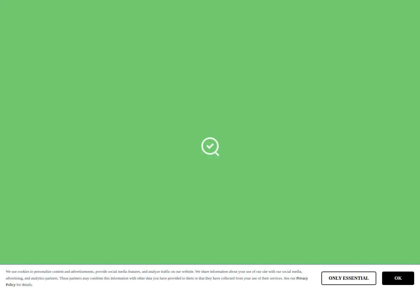Captured homepage of diagnoseo.com in the current scan