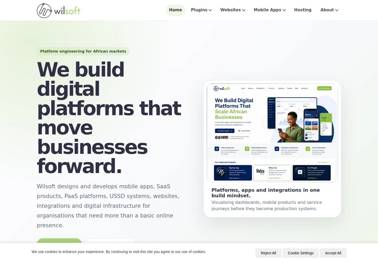 Screenshot of wilsoft.co.zw