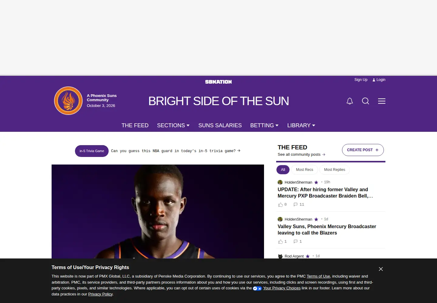 Screenshot of brightsideofthesun.com
