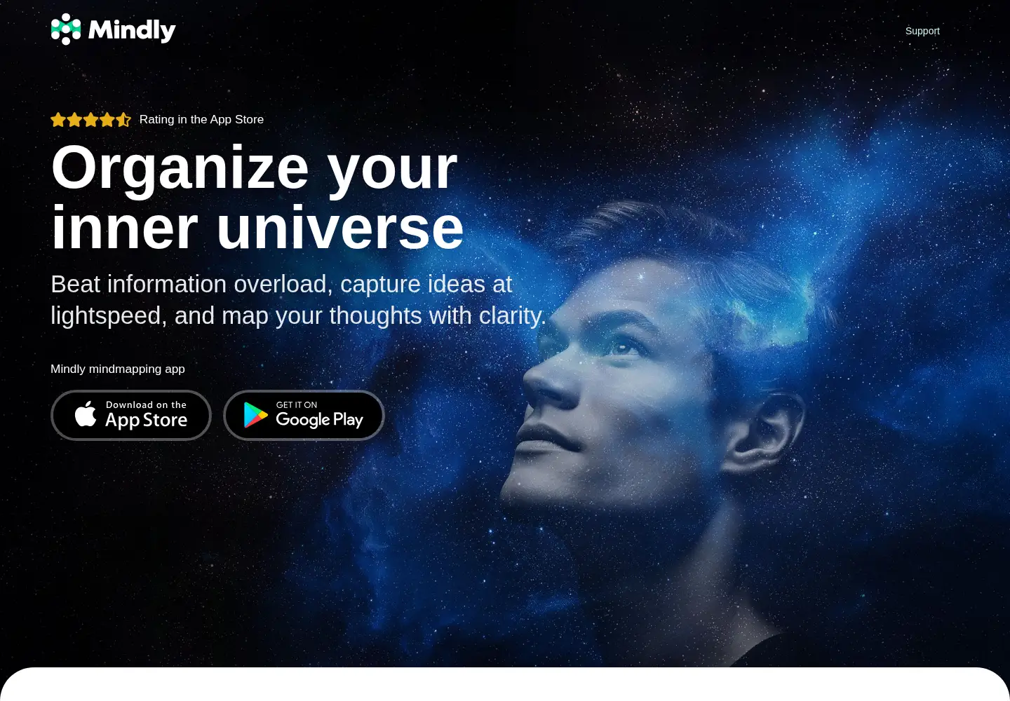 Captured homepage of mindlyapp.com in the current scan