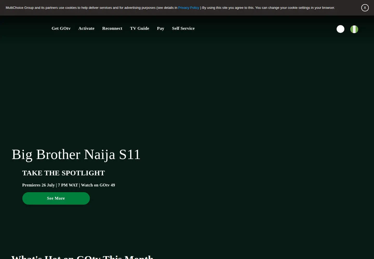 Screenshot of gotvafrica.com
