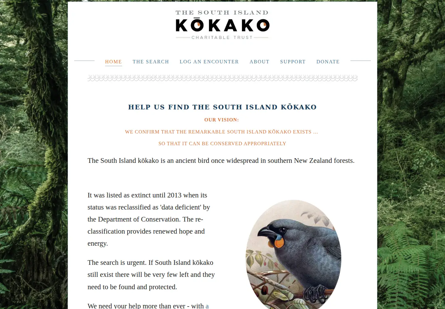 Screenshot of southislandkokako.org