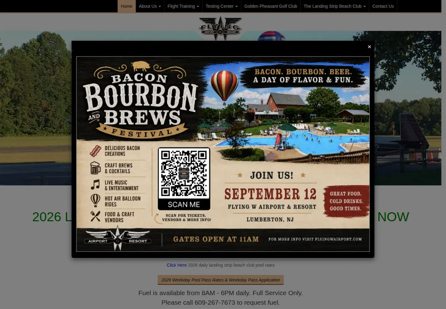 Screenshot of flyingwairport.com