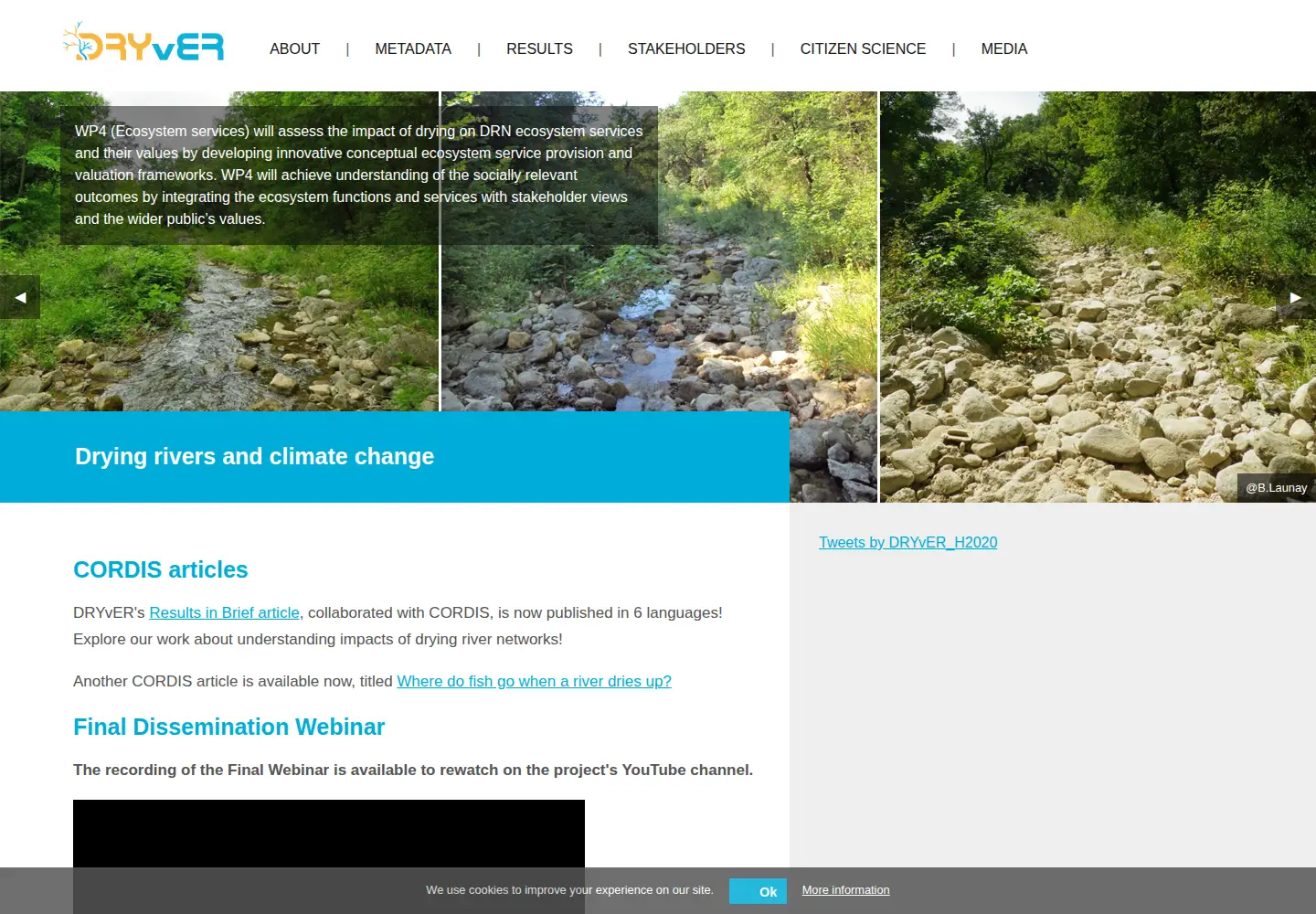 Screenshot of dryver.eu