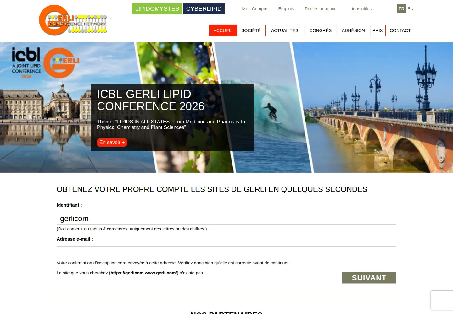 Screenshot of gerli.com