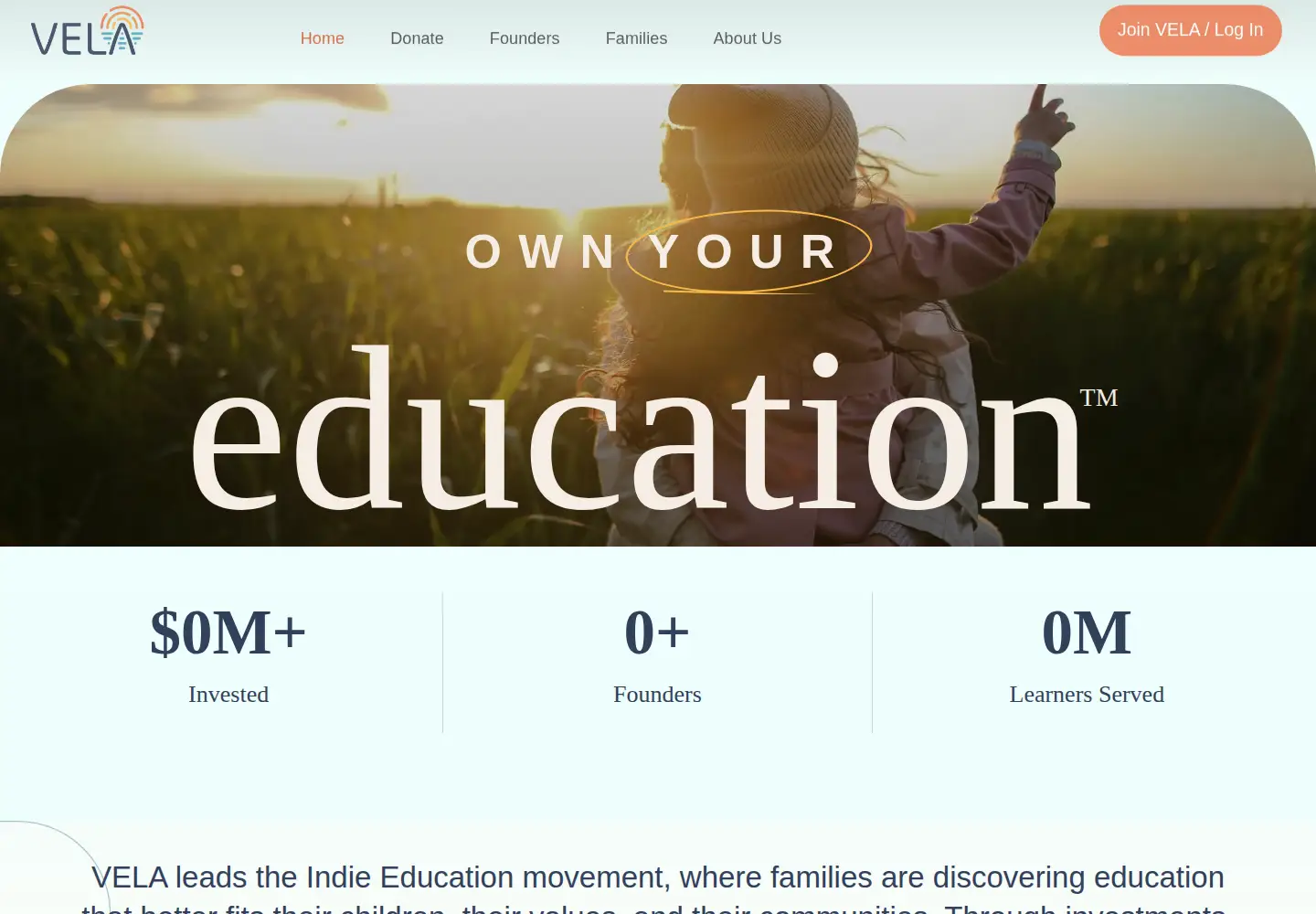Screenshot of velaedfund.org