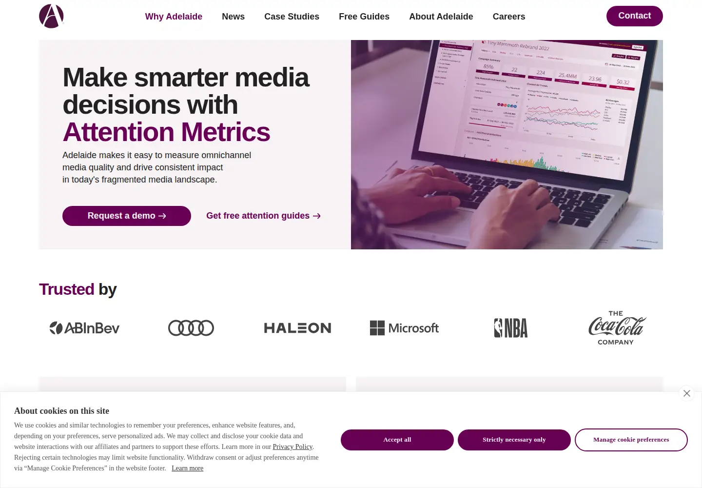 Screenshot of adelaidemetrics.com