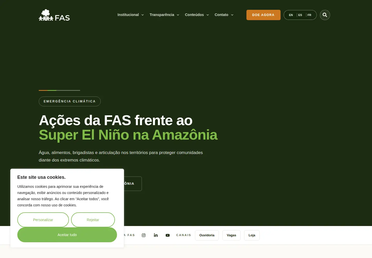 Screenshot of fas-amazonia.org