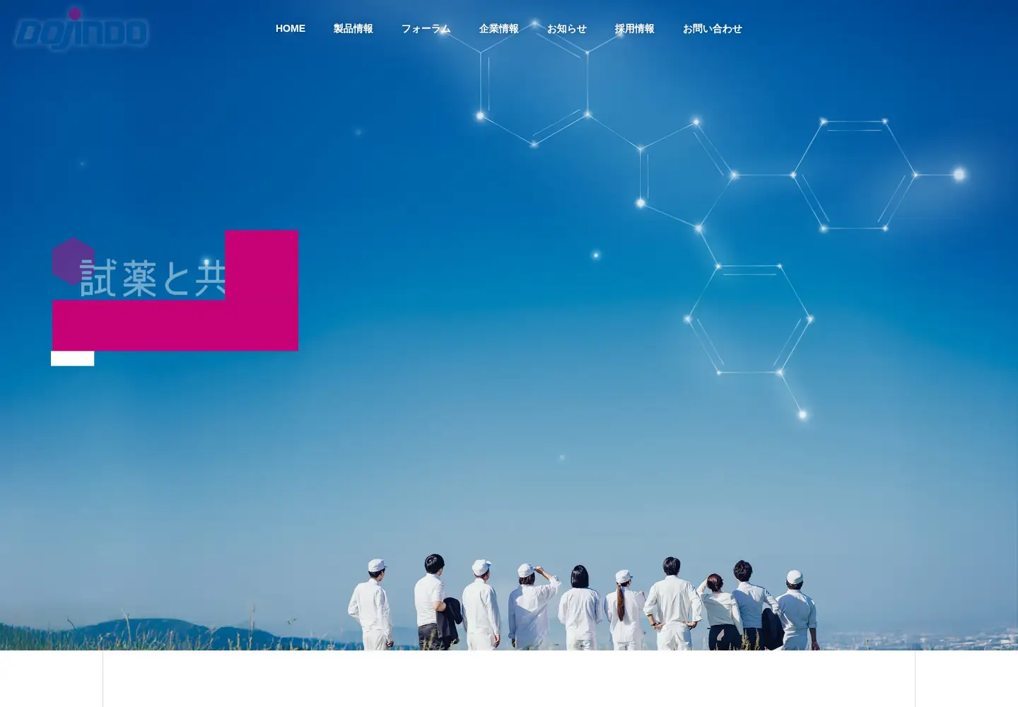 Screenshot of dojindo.co.jp
