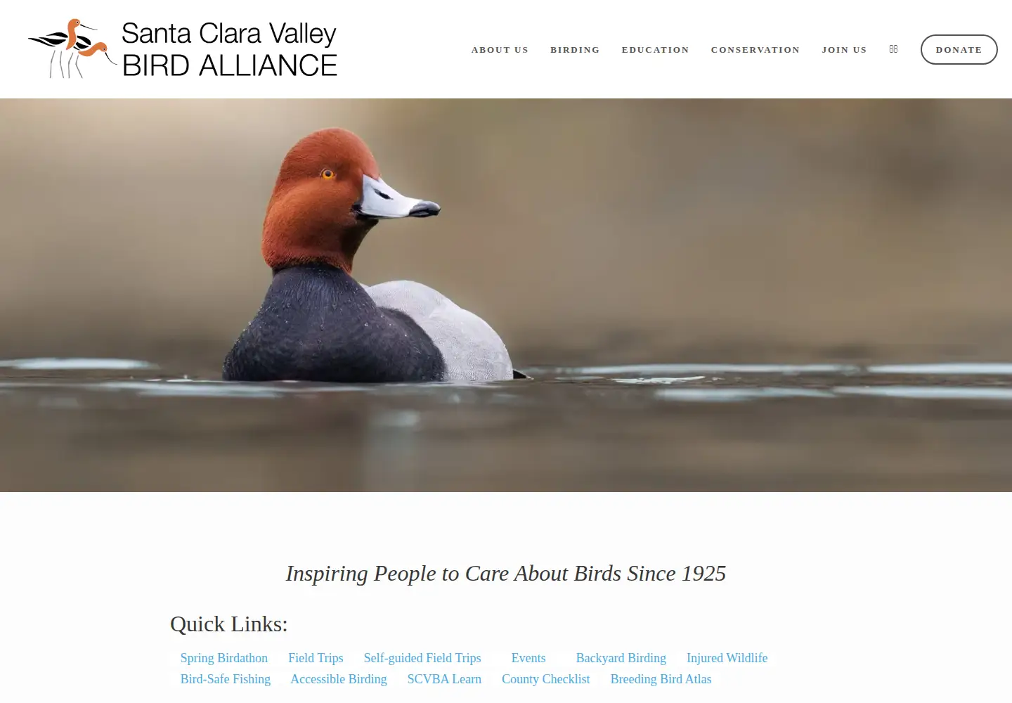 Screenshot of scvas.org